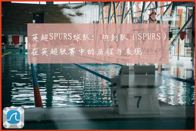 英超SPURS球队：热刺队（SPURS）在英超联赛中的历程与表现
