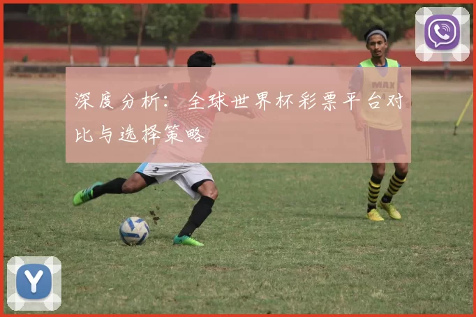 深度分析:全球世界杯彩票平台对比与选择策略