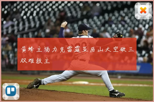 黄蜂主场力克雷霆亚历山大空砍三双难救主