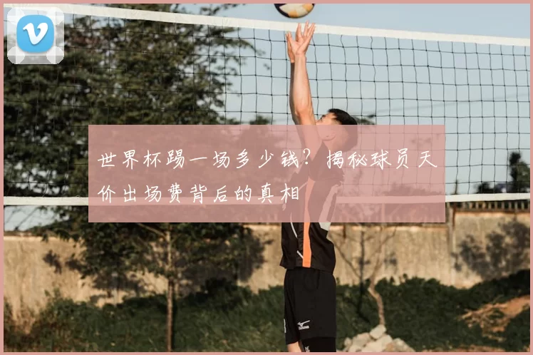 世界杯踢一场多少钱？揭秘球员天价出场费背后的真相