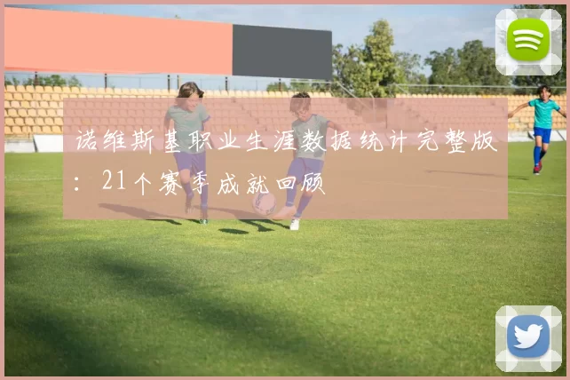 诺维斯基职业生涯数据统计完整版：21个赛季成就回顾