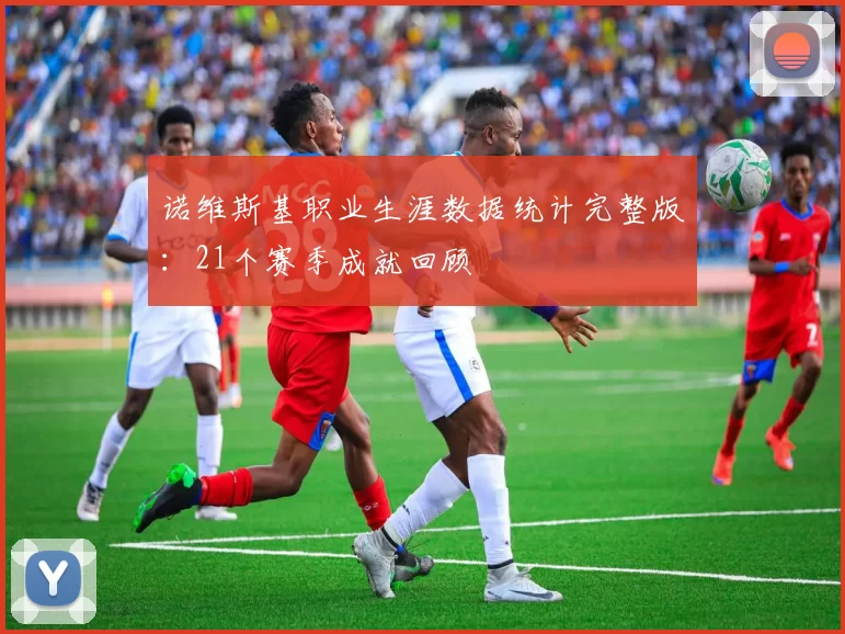 诺维斯基职业生涯数据统计完整版：21个赛季成就回顾
