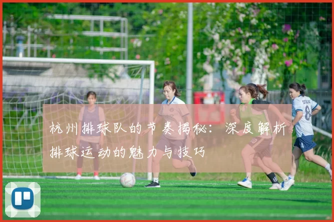杭州排球队的节奏揭秘：深度解析排球运动的魅力与技巧