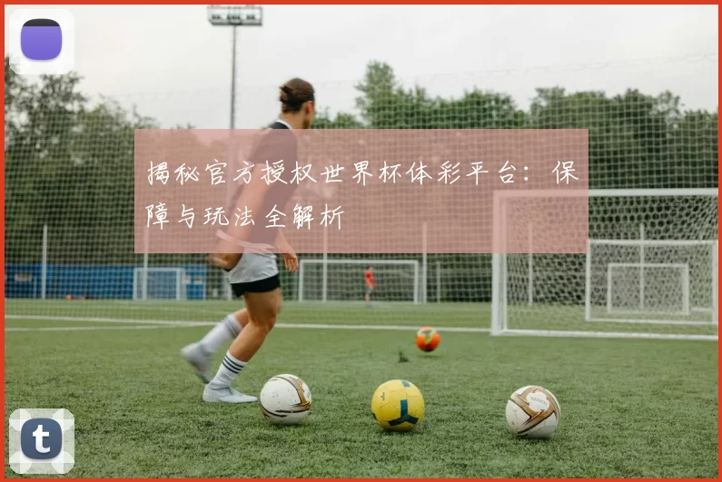 揭秘官方授权世界杯体彩平台:保障与玩法全解析