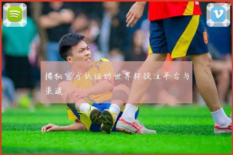 揭秘官方认证的世界杯投注平台与渠道