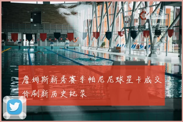 詹姆斯新秀赛季帕尼尼球星卡成交价刷新历史纪录
