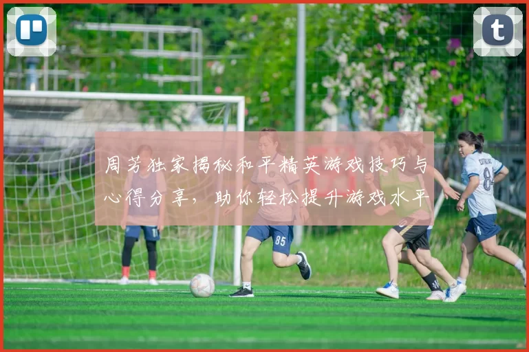 周芳独家揭秘和平精英游戏技巧与心得分享，助你轻松提升游戏水平