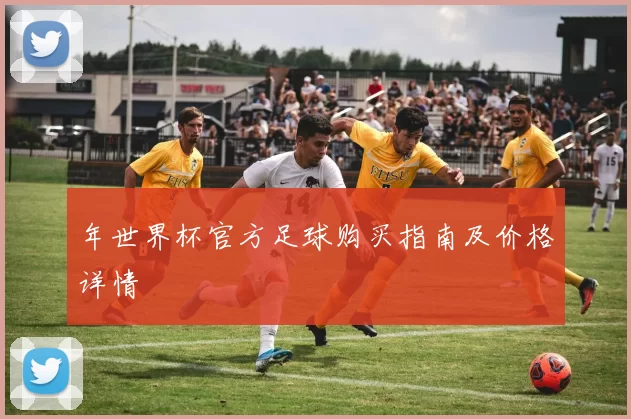 年世界杯官方足球购买指南及价格详情