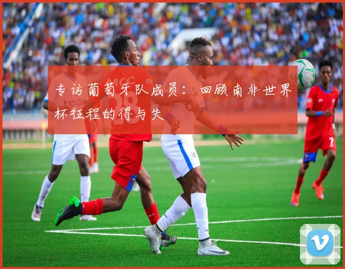 专访葡萄牙队成员:回顾南非世界杯征程的得与失