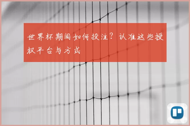 世界杯期间如何投注？认准这些授权平台与方式